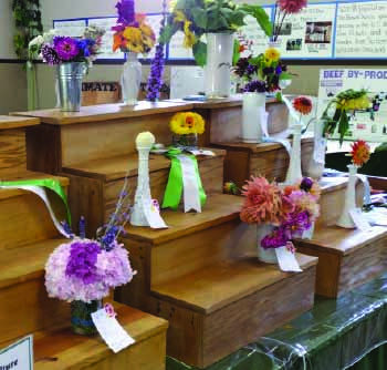 arts and crafts exhibits at the fair